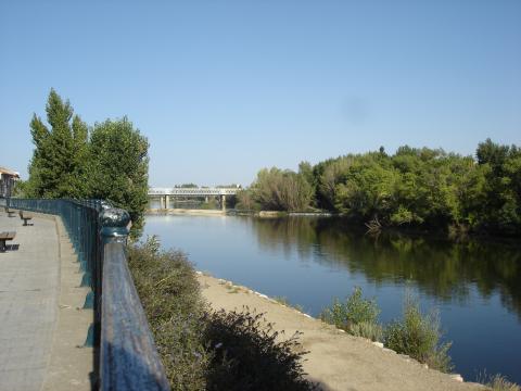 image Orillas del Duero, Zamora