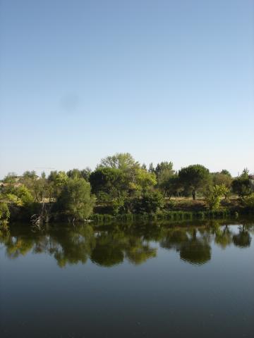 image Orillas del Duero, Zamora