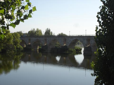 image Detalle Puente de Piedra, Zamora