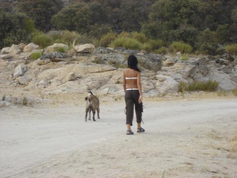 image Paseando al perro