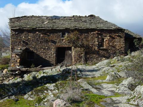 image Vivienda de arquitectura negra, Guadalajara
