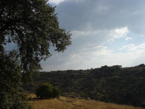 image Campos de terrazas, Sayago, Zamora