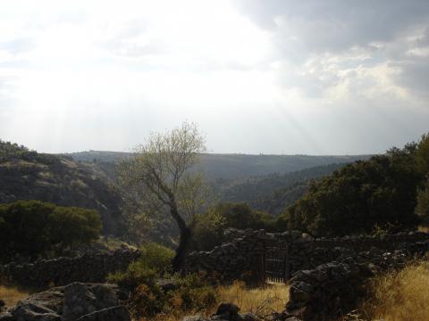 image Arribes en Cozcurrita, Sayago, Zamora