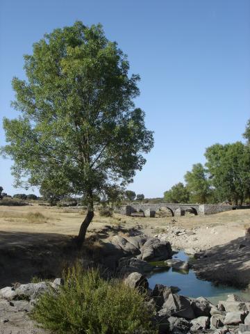 image Puente Romano de Sogo, Pereruela de Sayago, Zamora