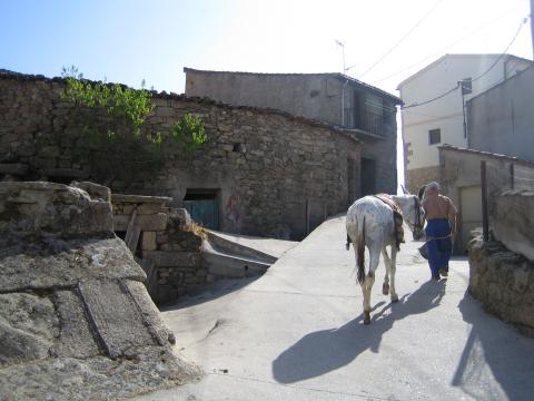 image Mula de cabestro por una calle de Fermoselle, Sayago, Zamora