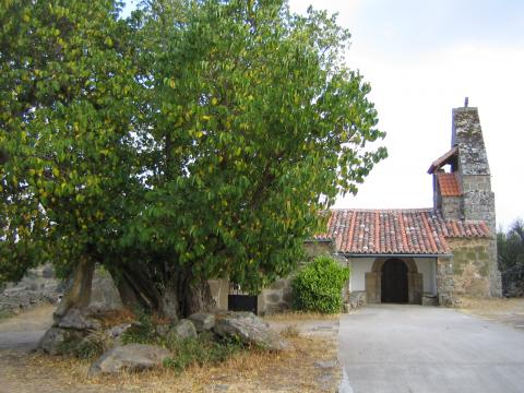 image Moral e iglesia de Cozcurrita, Fariza de Sayago, Zamora