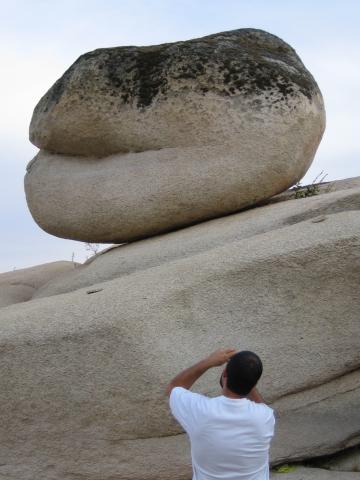 image Fotografiando la naturaleza