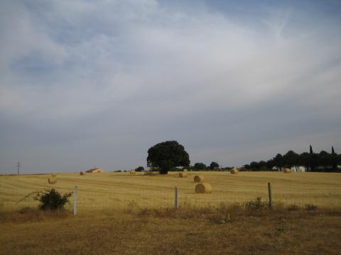 image Pacas de paja en la comarca de Sayago, Zamora