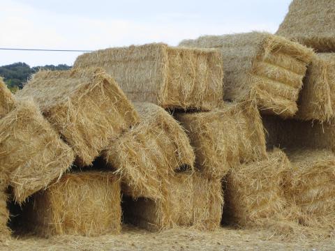 image Pacas de paja en la comarca de Sayago, Zamora