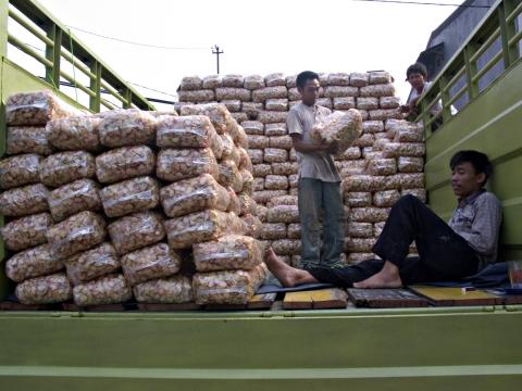 image Descargando fritos, Jakarta, Indonesia