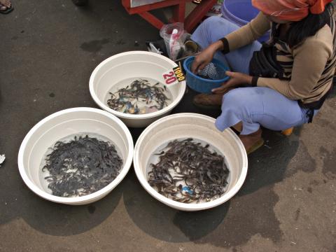 image Puesto de mercado, Jakarta, Indonesia