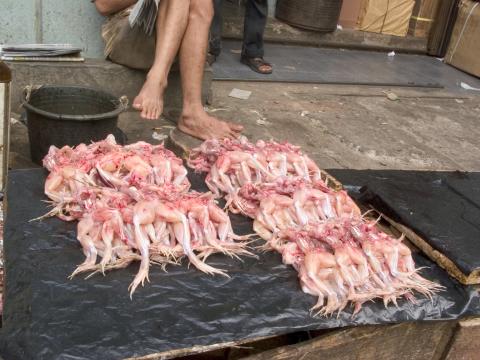 image Puesto de mercado, Jakarta, Indonesia
