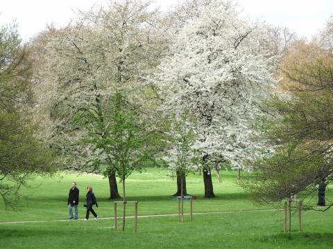 image Green Park, Londres, Reino Unido