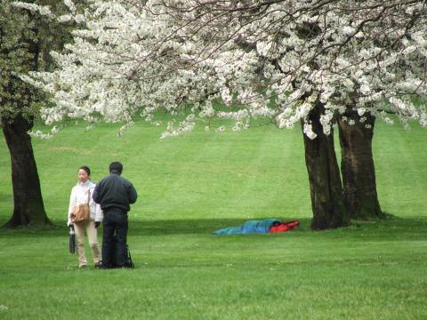 image Green Park, Londres, Reino Unido
