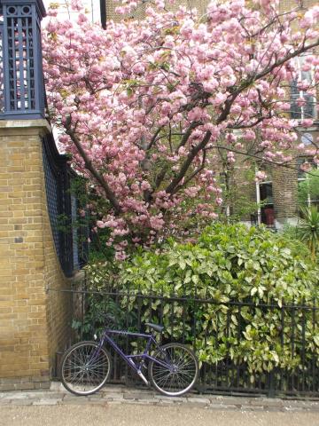 image Green Park, Londres, Reino Unido