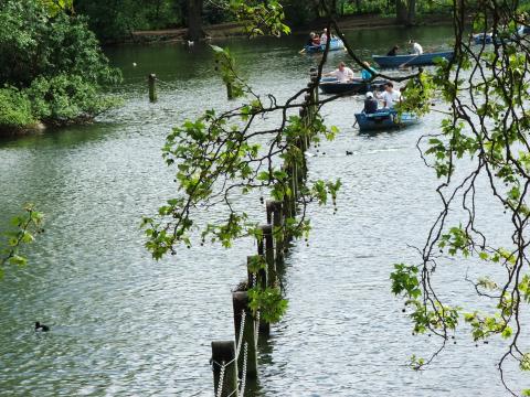 image Remando en el lago de Regent's Park, Londres, Reino Unido