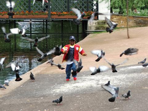 image Asustando a las palomas, Regent's Park, Londres