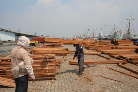 image Descargando madera, Sunda Kelapa, Indonesia
