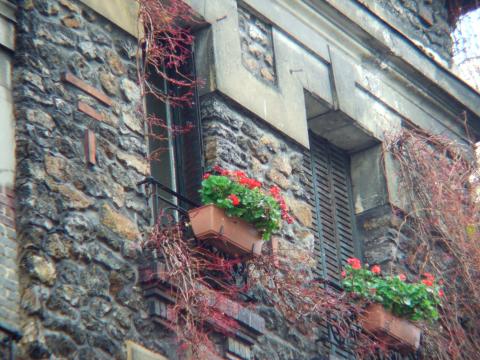 image Balcones de una casa de estilo rural, París
