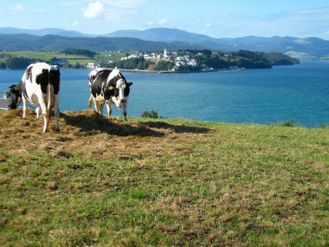 image Ría de Ribadeo, Lugo