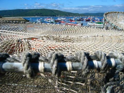 image Artes de pesca en el puerto de Fisterra, A Coruña