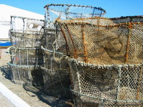 image Artes de pesca en el puerto de Fisterra, A Coruña
