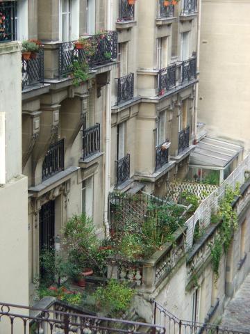 image Terraza de una casa con plantas, París, Francia