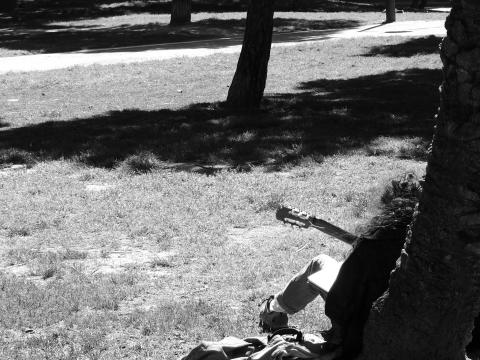 image Persona tocando la guitarra en un parque