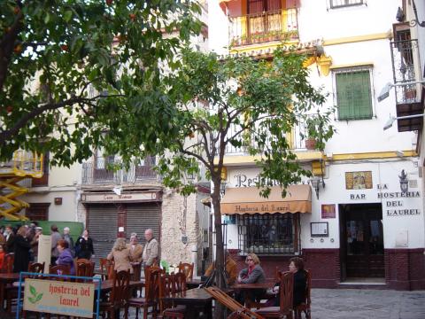 image Hostería del Laurel, Barrio de Santa Cruz, Sevilla