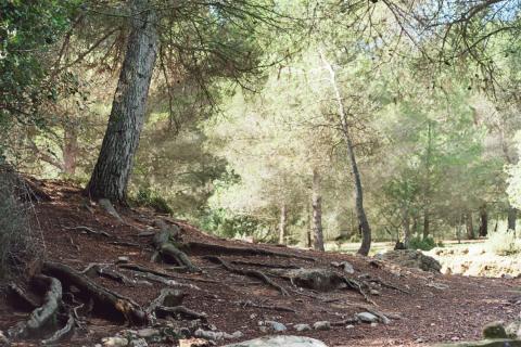 image Sierra de Espadán, Castellón