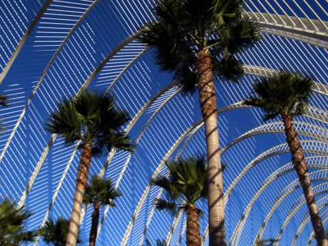 image L´Umbracle, Ciudad de las Artes y las Ciencias, Valencia