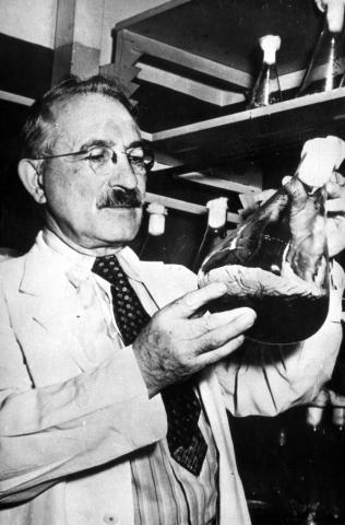 image Selman Abraham Waksman