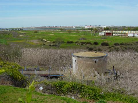 image Vista desde el embarcadero del Puerto de Palos de la Frontera, Huelva