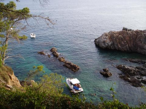 image Embarcación, Cala Canyers, Palafrugell, Girona