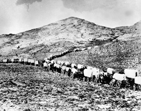 image Caravana de carretas