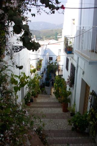image Calle empedrada de Frigiliana, Málaga