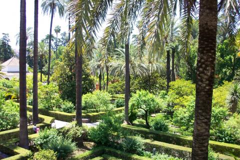 image Jardín del Infante en los Reales Alcázares de Sevilla