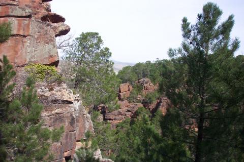 image Pinar de rodenos, Albarracín, Teruel