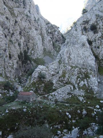 image Camino de Bulnes, Asturias