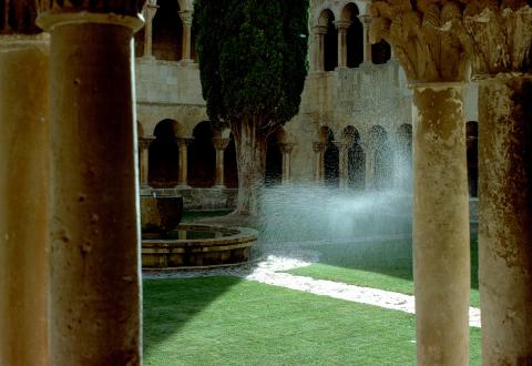 image Jardín del claustro del Monasterio de Santo Domingo de Silos, Burgos