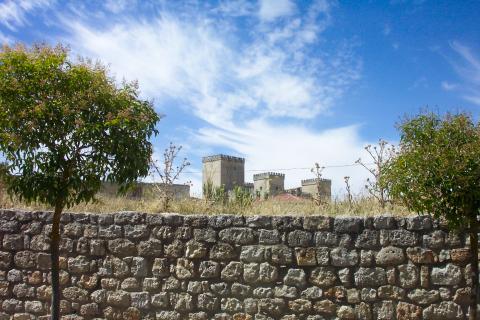 image Muro y almenas del castillo de Ampudia, Palencia