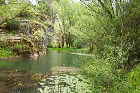 image Río Lobos de Ucero, Soria