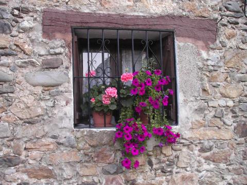 image Ventana de una casa Ezcaray, La Rioja
