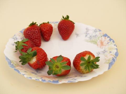 image 7 fresas