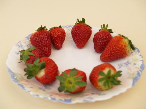 image 9 fresas