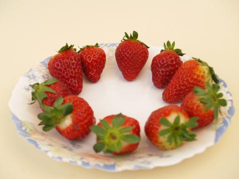 image 10 fresas