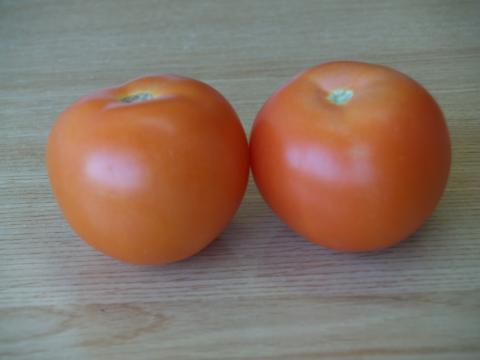 image 2 tomates