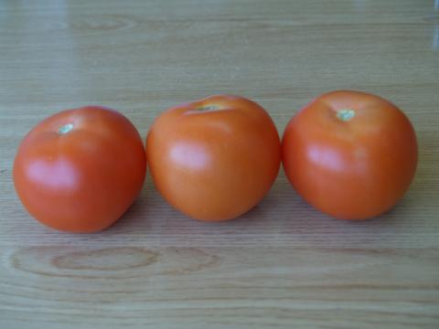 image 3 tomates