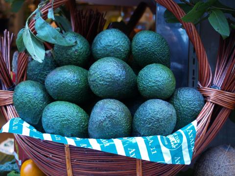 image Cesta de aguacates