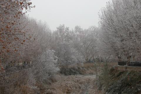 image Parque en invierno